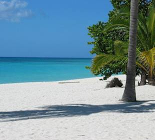 Saona Strand