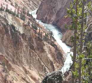 Canyon of the Yellostone
