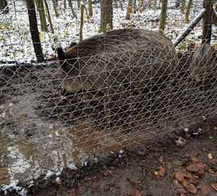 Hier kommen die Kleinen schon