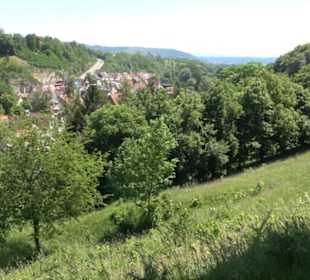 Burg Kräheneck Reusten