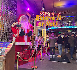 Museum Ripley's Believe It or Not!