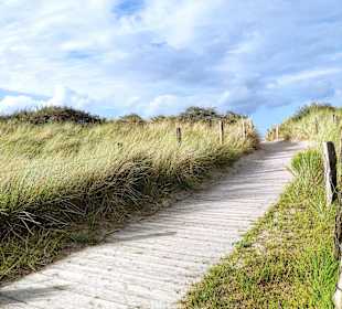 Hundestrand Heiligenhafen