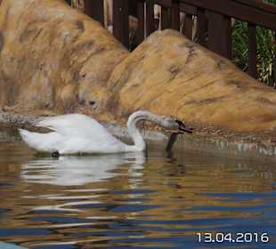 Discovery Park Manavgat