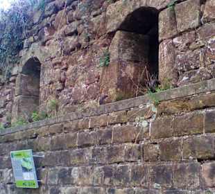 Burgruine Hohenburg in Homburg