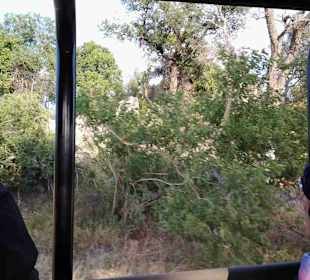 Krüger Nationalpark