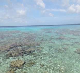 15 US Dollar um hier schwimmen zu können