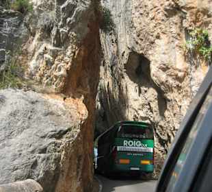 Straße nach Sa Calobra- Cavall Bernat