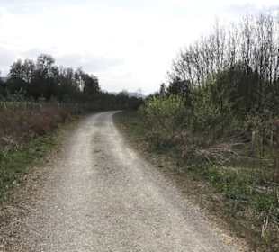 Wanderweg Firstwaldrunde