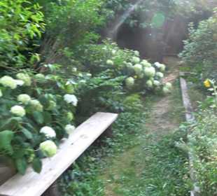 Interkultureller Gemeinschaftsgarten