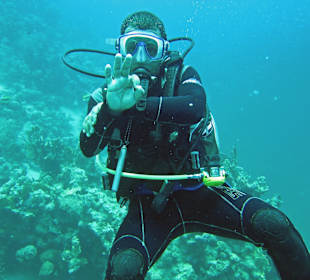 Divemaster "MAHMOUD"