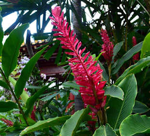 Buddha Tooth Relic Temple