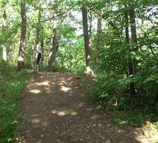Premiumwanderweg "hochgelegen"