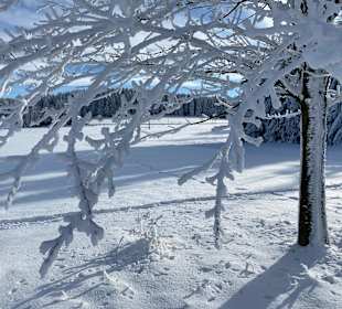Wandern Rechenberg-Bienenmühle