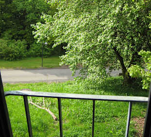 Blick vom Zimmer