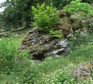 Premiumwanderweg "hochgehackert"