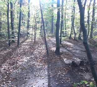 Höllenlöcher Hohenneuffen