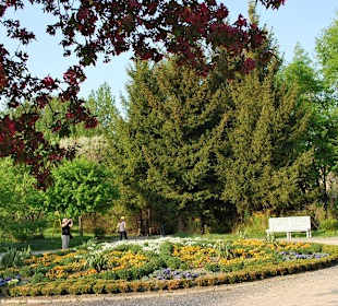 Dziedziniec przed dworem