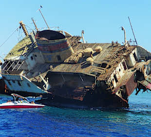 Schnorchelausflug Insel Tiran
