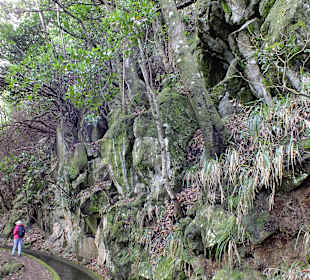 Man kommt immer weiter ins Tal