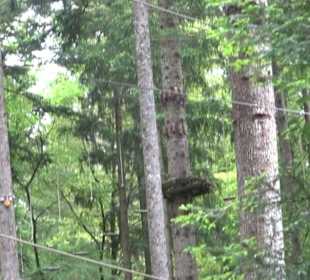 Hochseilgarten Hallwangen