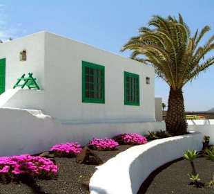 Lanzarote - Monumento al Campesino