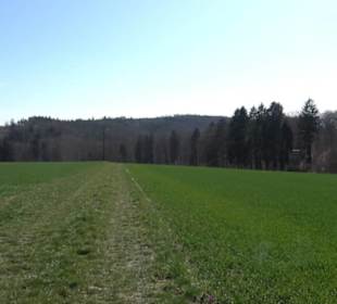 Geschichtlicher Lehrpfad Einsiedel