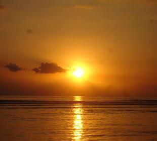 Braucht man dafür Worte?