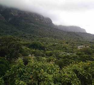 Botanischer Garten Kirstenbosch