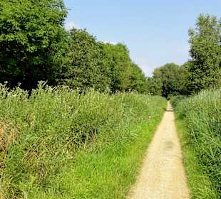 Impressionen aus dem Park Links der Weser