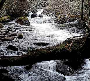 Rundweg „La Isla“ Path