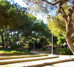 Schöne Parkanlagen direkt am Strand