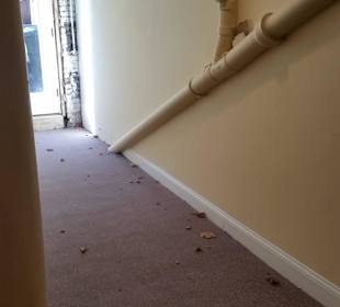 Flur vor dem Zimmer