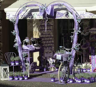 Nette Geschäfte in der Altstadt