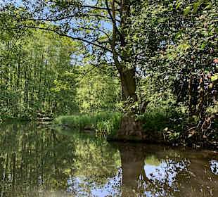 Kahnfahrten und Paddelboote Kleiner Spreewaldhafen