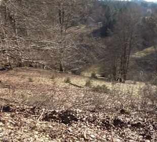 Naturerlebnispfad Meidelstetten