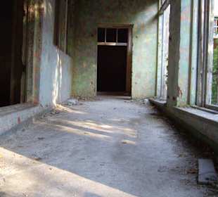 Zakład dla Nerwowo i Psychicznie Chorych Żydów Zofiówka