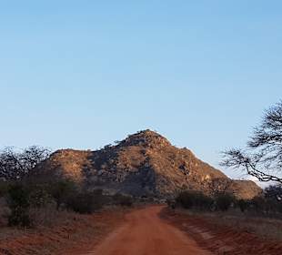 Tsavo Ost und West Safari