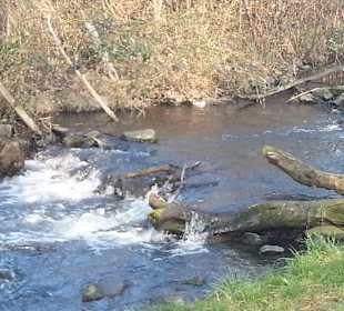 Stromschnellen am Moersbach ;-)