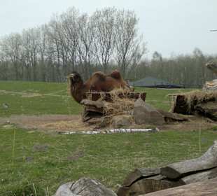 Zoo Ostrava