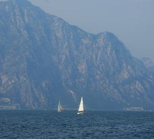 Der Gardasee vom Ufer aus