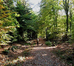 Hirschgarten