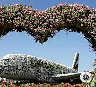 Miracle Garden