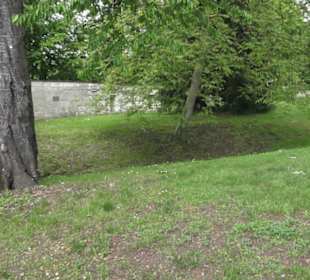 Benediktinerkloster Lorch