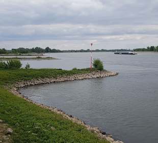 Rheinblick