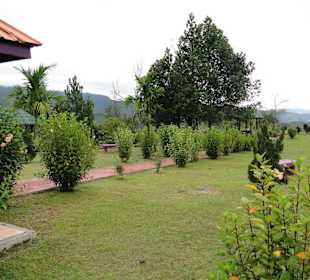 Wildlife Expeditions