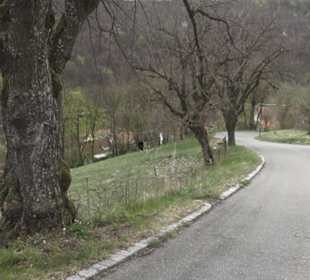 Burgruine Hohenhundersingen