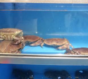 Mercado Central - Bummel durch die Markthalle