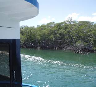 Unterwegs mit dem Glasboot