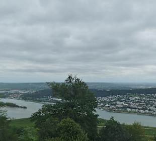 Blick zum Rhein vom Niederwald-Tempel aus