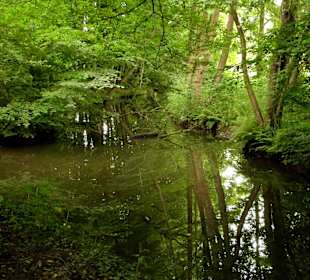 Spaziergang durch das Schönebecker Auetal